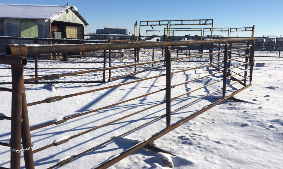 Freestanding Livestock Panels Rawhide Sales, Winifred, Montana